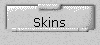 Skins 