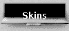  Skins 